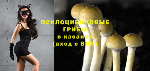 МДПВ Алзамай