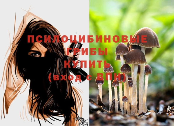 МДПВ Алзамай