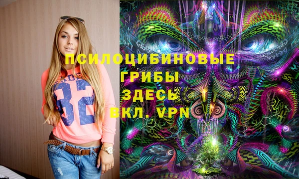 МДПВ Алзамай